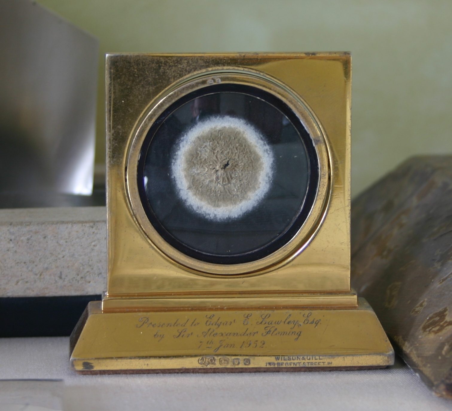 Alexander Fleming's Penicillin specimen, Alexander Fleming Laboratory and Museum, St Mary's Hospital, London (31).JPG